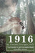 1916: The Creation of the First Nation-State in the 20th Century by Vincent D. Corrigan