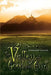The Valley of Good and Evil by Margaret Chifari