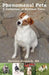 Phenomenal Pets: A Collection of Mystical Tales by Saraina Hancock Ma