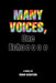 Many Voices, One Echo by Mikki Karotkin