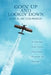 Goin' Up and Lookin' Down: The Book about Flying, Airplanes, Pilots, Airports, Plane People, and Plane Stuff. by Lynn R. Butch Pinson