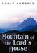 Mountain of the Lord's House by Kunle Somefun