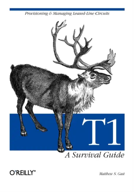 T1: A Survival Guide by Matthew S. Gast