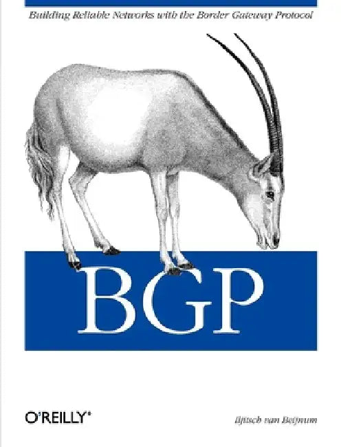 Bgp by Iljitsch Van Beijnum