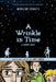 Wrinkle in Time: The Graphic Novel by Madeleine L'Engle, Hope Larson, Hope Larson