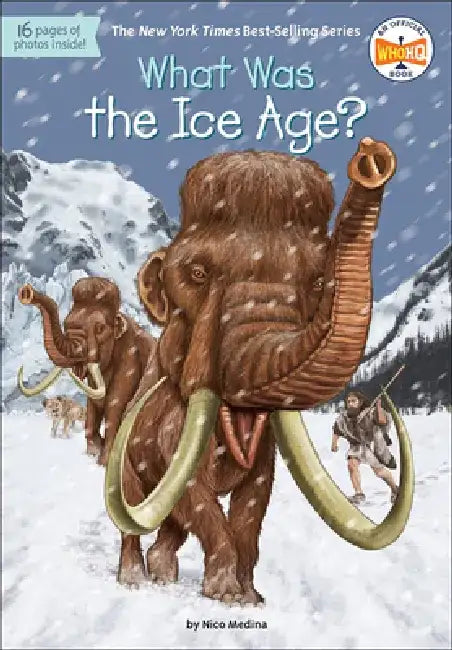What Was the Ice Age? by Nico Medina