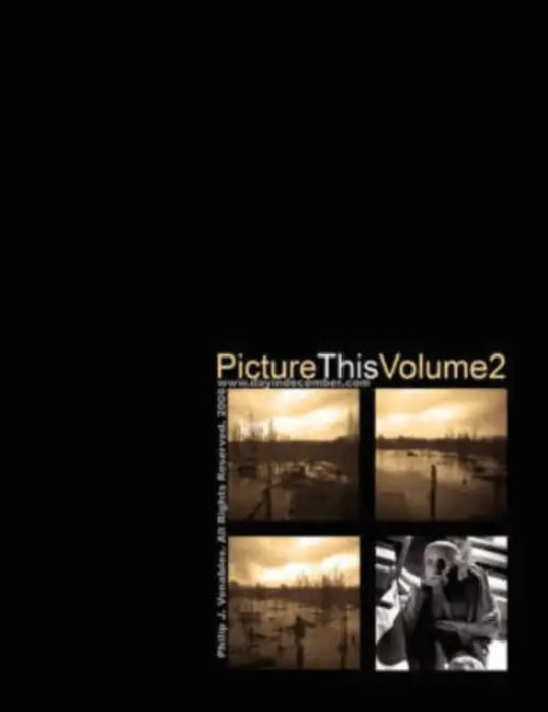 Picture This Volume 2 by Philip Venables