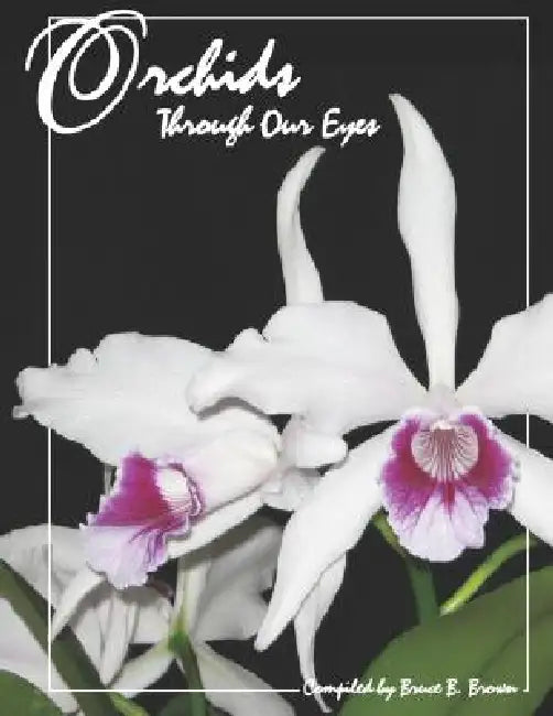 Orchids Through Our Eyes by Bruce B. Brown
