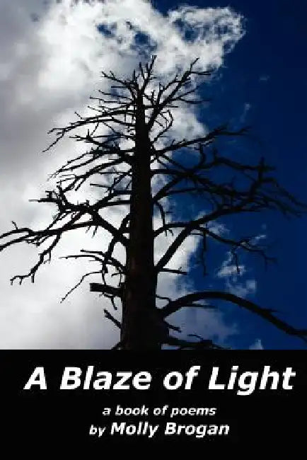 A Blaze of Light by Molly Brogan