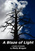 A Blaze of Light by Molly Brogan