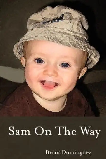 Sam On The Way by Brian Dominguez
