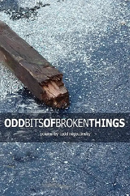 Odd Bits Of Broken Things by Todd Regoulinsky