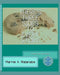 There's Three Sides To Every Story: A book for brothers by Marnie A. Watanabe