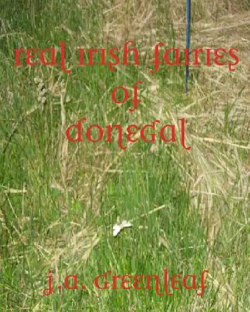 Real Irish Fairies of Donegal: Just Because You Don't Believe In Fairies Doesn't Mean They Don't Exist by J. A. Greenleaf
