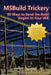 Msbuild Trickery: 99 Ways to Bend the Build Engine to Your Will by Dan Moseley