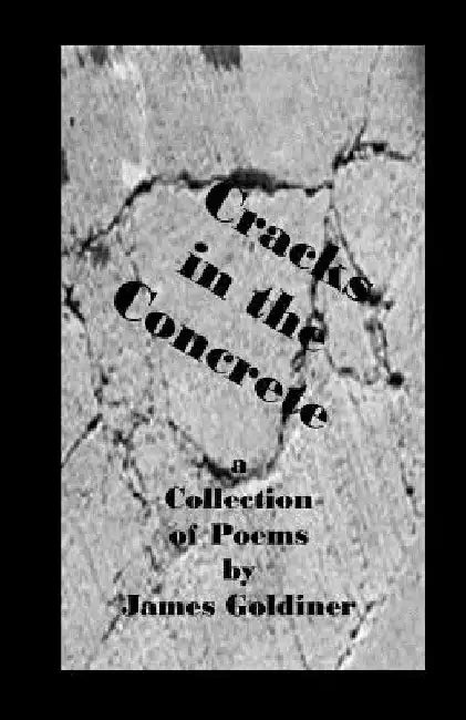 Cracks in the Concrete by James Goldiner