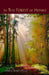 In This Forest of Monks by Daniel Skach-Mills