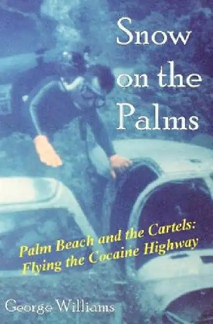 Snow on the Palms by George Williams