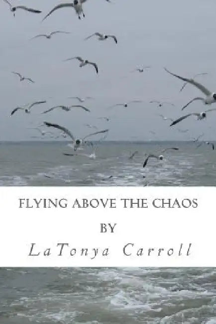 Flying Above the Chaos by Latonya Carroll