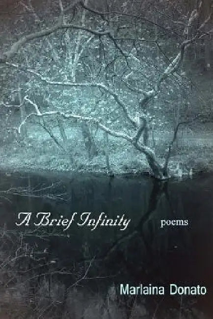 A Brief Infinity: Poems by Marlaina Donato