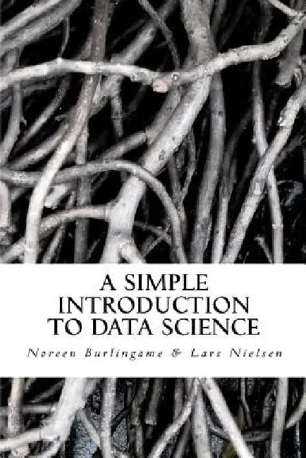 A Simple Introduction to DATA SCIENCE by Noreen Burlingame