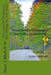 Directionally Challenged: (but finding my way home) by Susan J. Mitchell