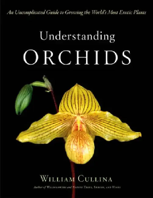 Understanding Orchids: An Uncomplicated Guide to Growing the World's Most Exotic Plants by William Cullina
