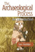 Archaeological Process by Ian Hodder