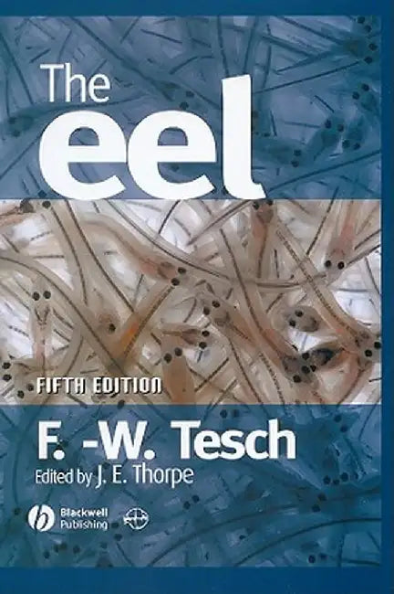 The Eel by Frederich W. Tesch