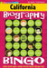 California Biography Bingo by Gallopade International
