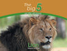Lion: The Big 5 and other wild animals by Megan Emmett