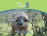 Buffalo: The Big 5 and other wild animals by Megan Emmett