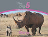 Rhino: The Big 5 and other wild animals by Megan Emmett
