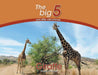 Giraffe: The Big 5 and other wild animals by Megan Emmett