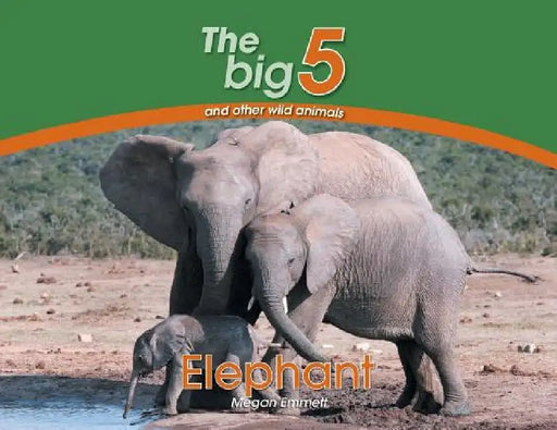 Elephant: The Big 5 and other wild animals by Megan Emmett
