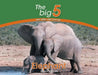 Elephant: The Big 5 and other wild animals by Megan Emmett