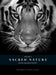 Sacred Nature 2: Reconnecting People to Our Planet by Jonathan Scott