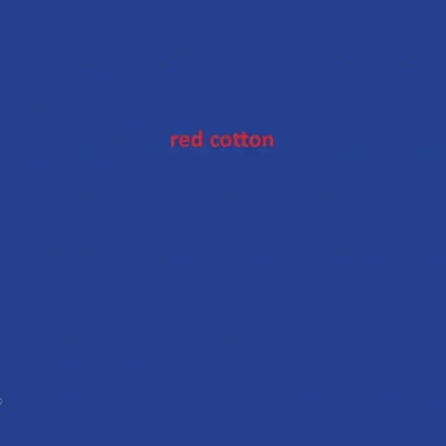 Red Cotton by Vangile Gantsho