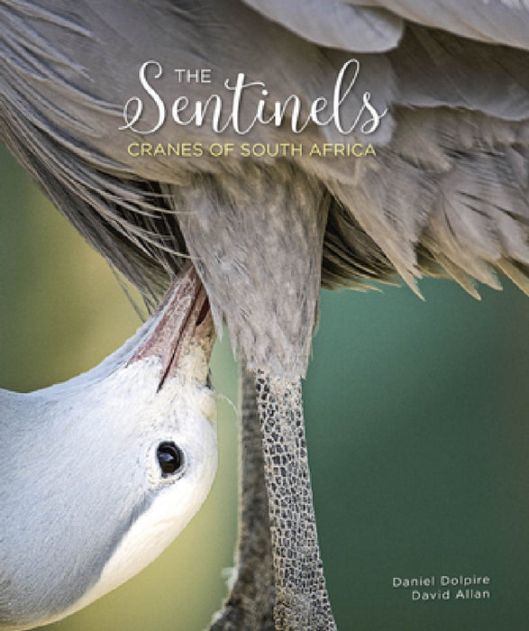 The Sentinels: Cranes of South Africa by Daniel Dolire, David Allan
