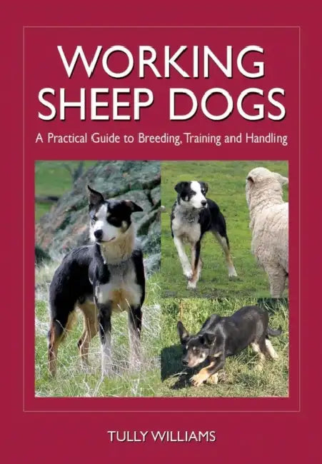 Working Sheep Dogs: A Practical Guide to Breeding, Training and Handling by Tully Williams