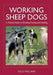 Working Sheep Dogs: A Practical Guide to Breeding, Training and Handling by Tully Williams