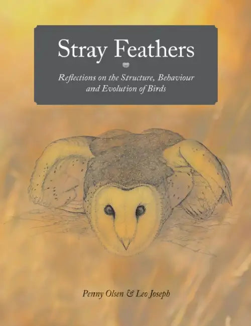Stray Feathers: Reflections on the Structure, Behaviour and Evolution of Birds by Penny Olsen, Leo Joseph