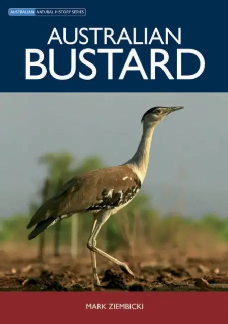 Australian Bustard by Mark Ziembicki