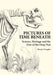 Pictures of Time Beneath: Science, Heritage and the Uses of the Deep Past by Kirsty Douglas