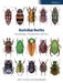 Australian Beetles Volume 1: Morphology, Classification and Keys by John Lawrence, Adam Slipinski