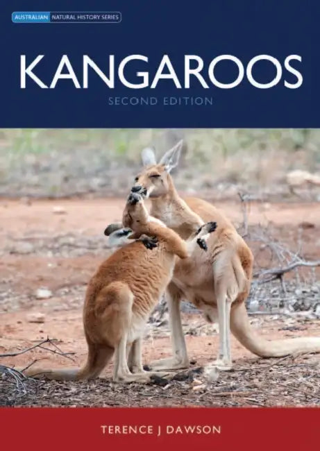 Kangaroos by Terence J. Dawson