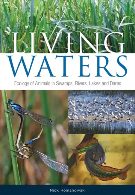 Living Waters: Ecology of Animals in Swamps, Rivers, Lakes and Dams by Nick Romanowski