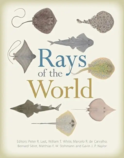 Rays of the World by Peter R. Last