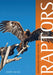 Australian High Country Raptors by Jerry Olsen