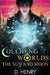 Colliding Worlds: The Sun and Moon by Dean Henry